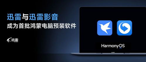 迅雷及迅雷影音成為首批鴻蒙電腦預裝軟件 助力國產系統蓬勃發展