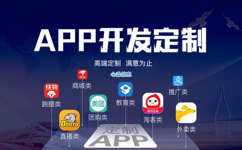 軟件開發 模板系統 vs 定制方案的選擇策略